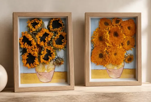 Preserved Sunflower Meaning, Care and Display Guide