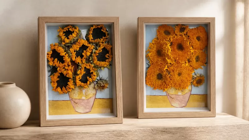 Preserved Sunflower Meaning, Care and Display Guide