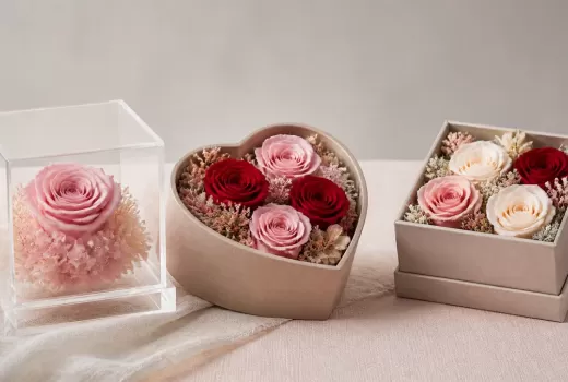 How to Choose the Best Preserved Roses for Your Gift or Space