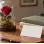 Could Preserved Flowers Be a Book-Publication Congratulations Gift?