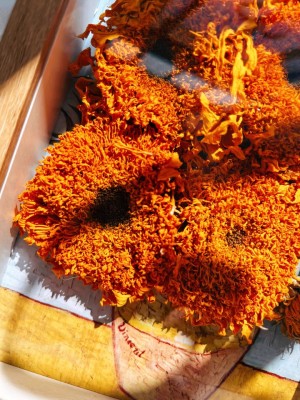 preserved-flowers-sunflower-1 (19)