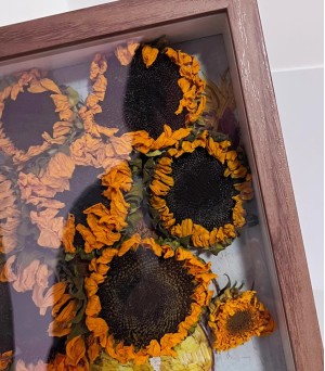 preserved-flowers-sunflower-1 (27)
