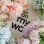 How to Preserve Flowers: Best Methods for Long-Lasting Beauty | Floral Care Guide