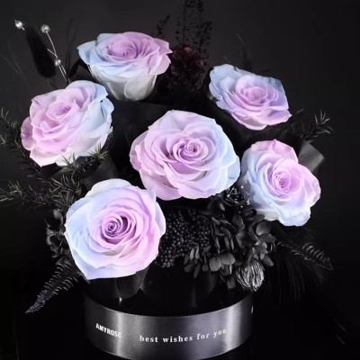 Pastel Preserved Rose Bouquet in Acrylic Box - Pink, Blue or Purple