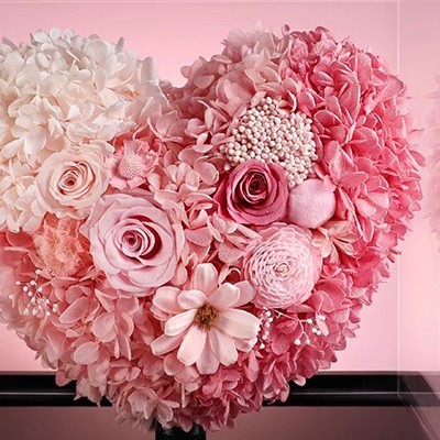 Romantic Preserved Rose Heart in Acrylic Box - Pink or Red Romantic Preserved Rose Heart in Acrylic Box - Pink or Red