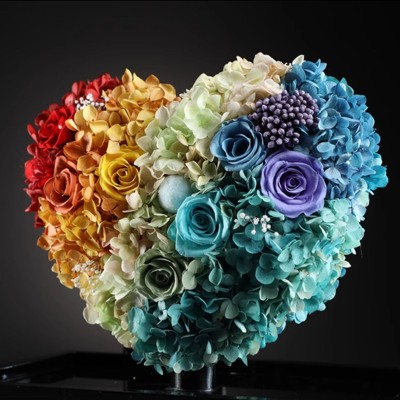 Colorful Preserved Rose Heart in Acrylic Box - Rainbow, White or Lavender