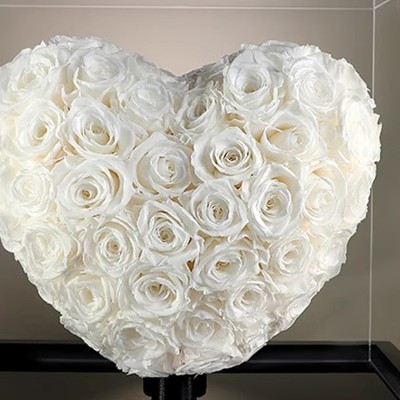 Colorful Preserved Rose Heart in Acrylic Box - Rainbow, White or Lavender