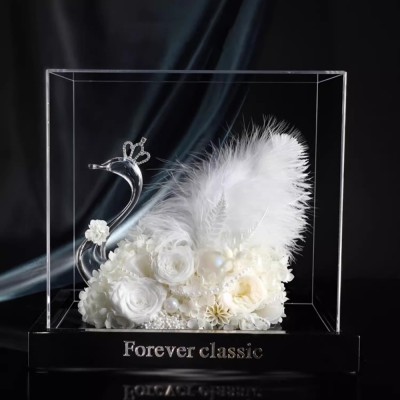 Preserved Rose Swan in Acrylic Box - White, Colorful or Black