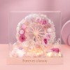 Pink Ferris Wheel 