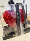FLOWEROF-RW-19